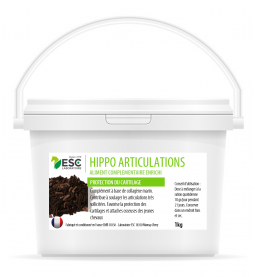 Hippo Articulations