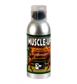 Muscle Up 960 ML