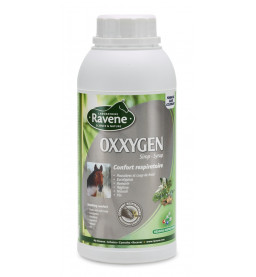OXXYGEN - RAVENE